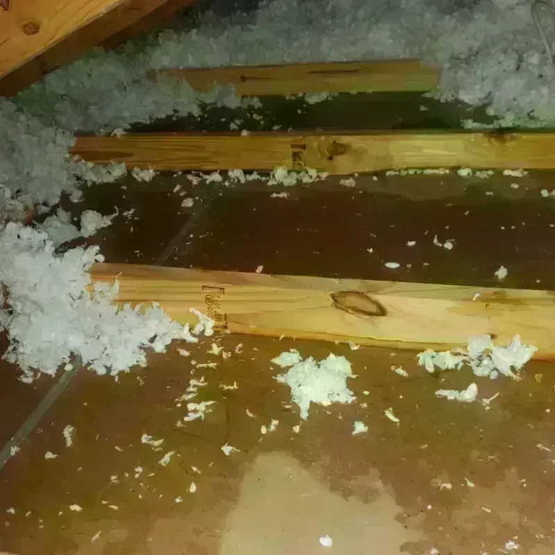 Attic Water Damage in Roseville, CA