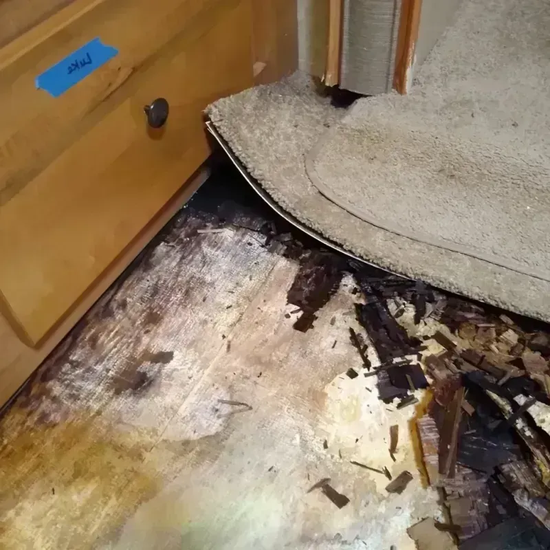 Wood Floor Water Damage in Roseville, CA